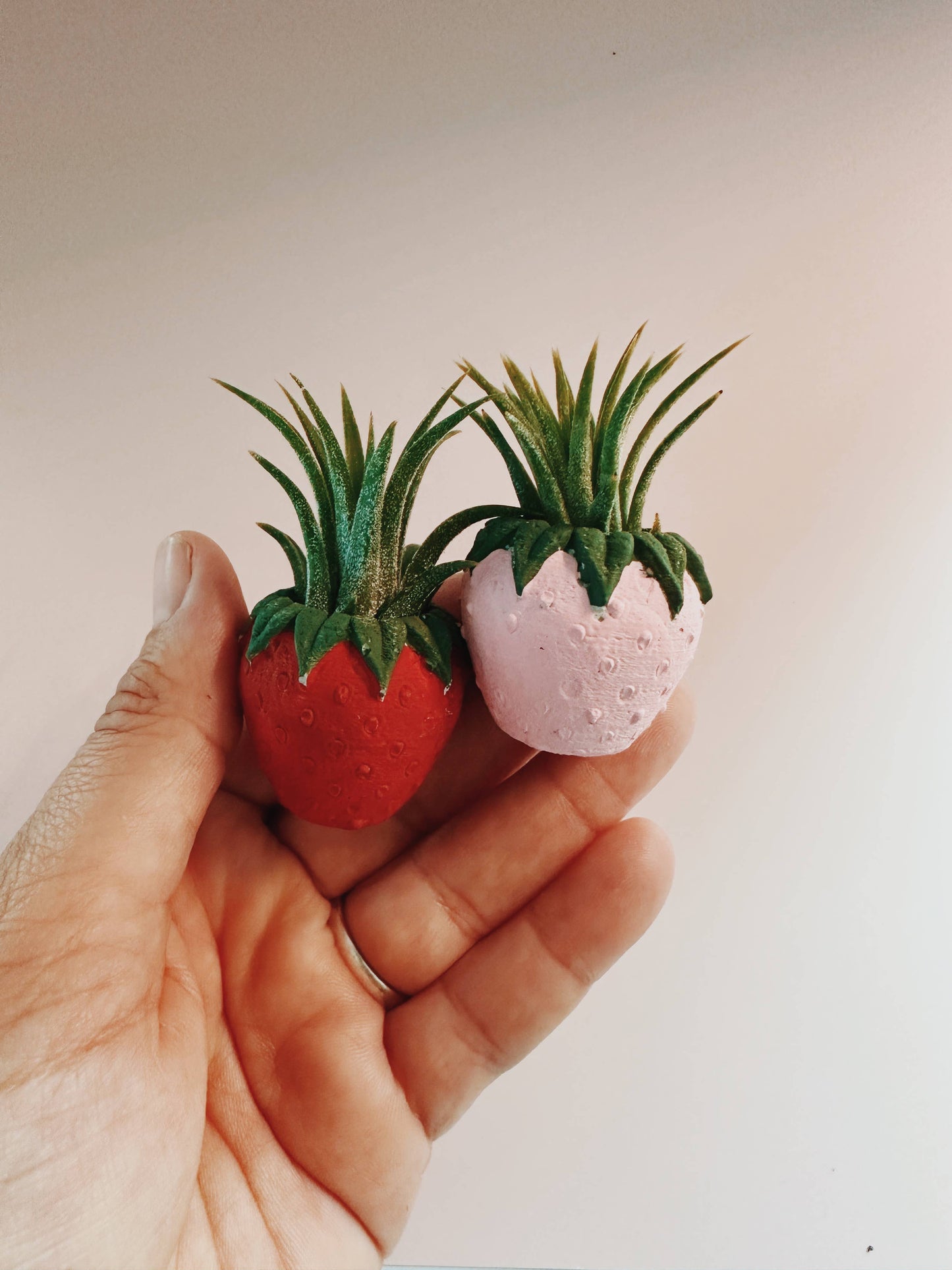 Pink Strawberry Patch Mini Planter and Air Plant