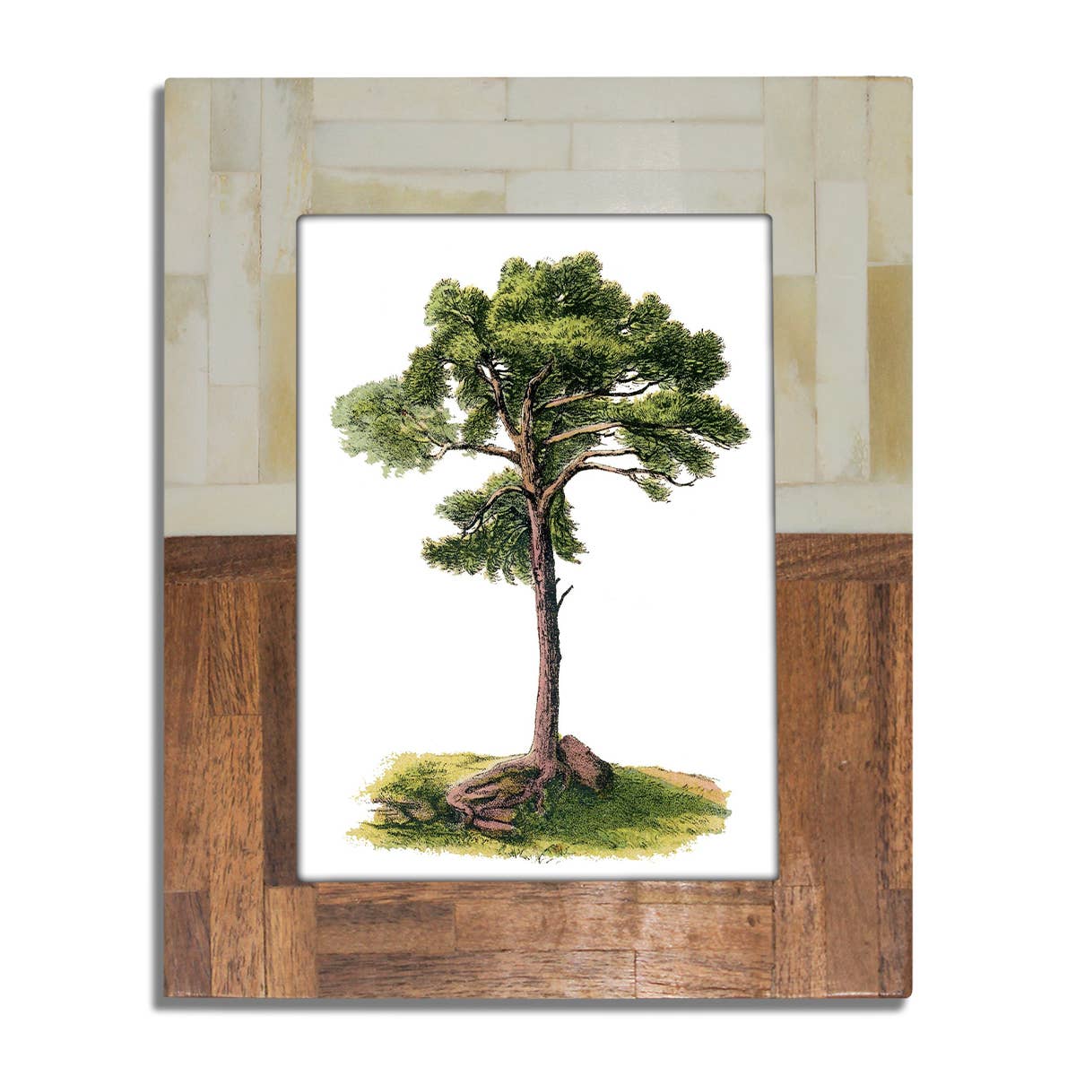 Photo Frame- Half Split Wood & Bone