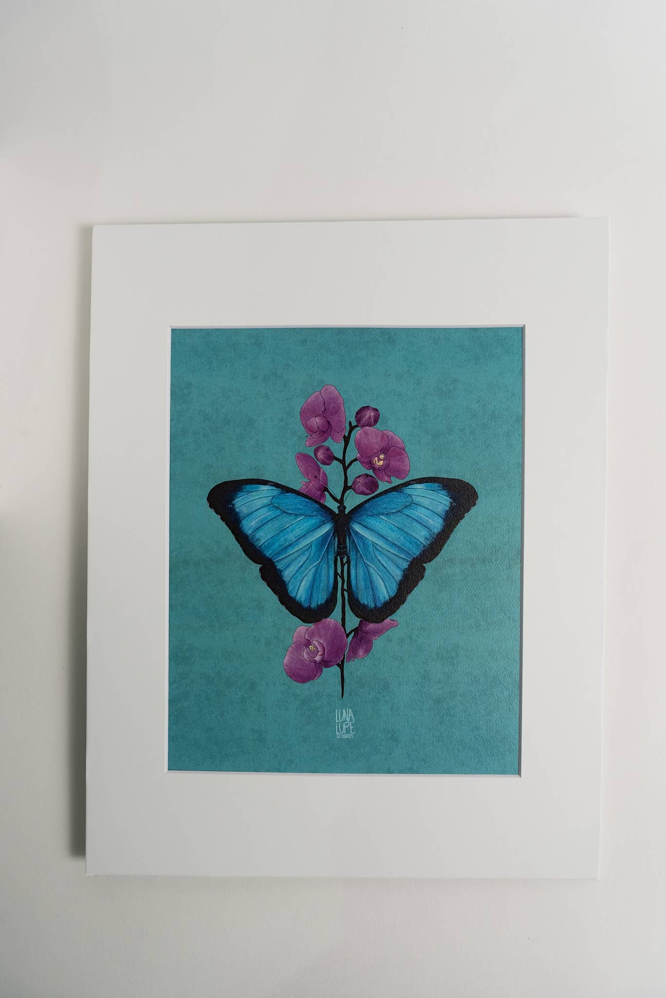 Blue Morpho Butterfly Art Print