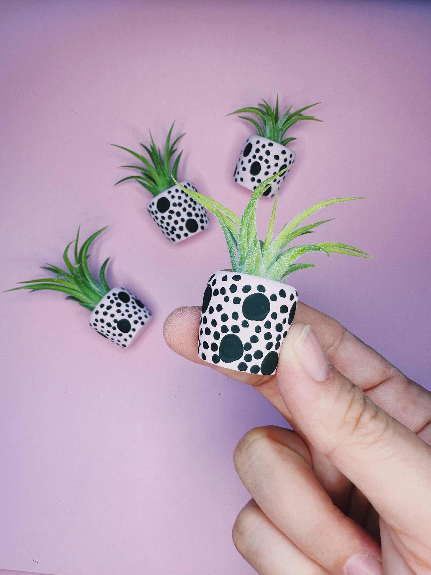 Pink and Black Speckle Mini Planter