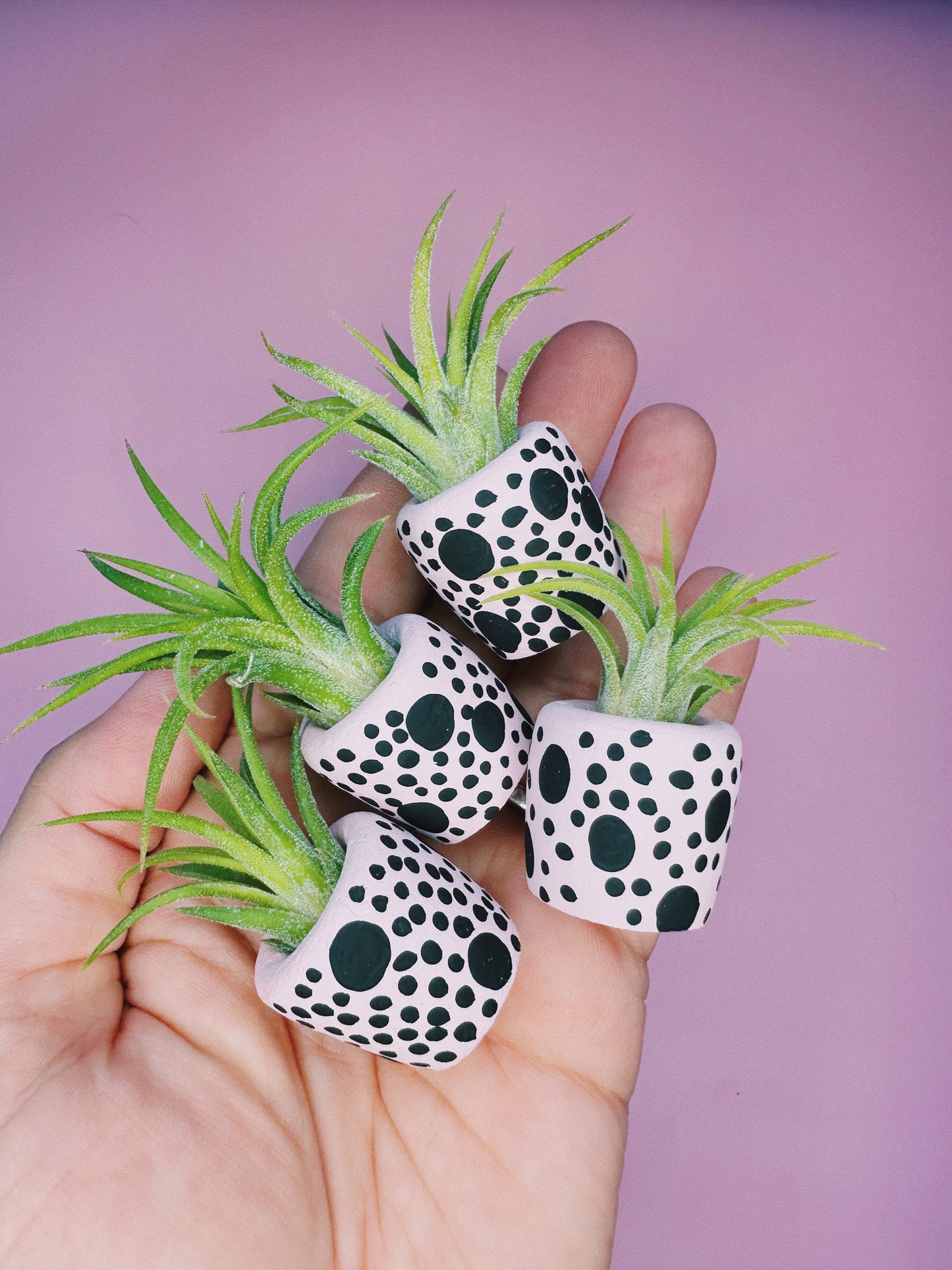 Pink and Black Speckle Mini Planter