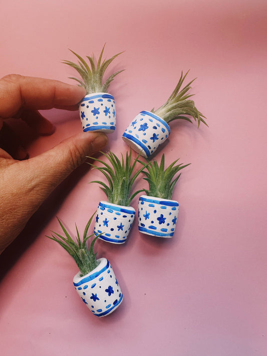 Blue and White Baby Planter