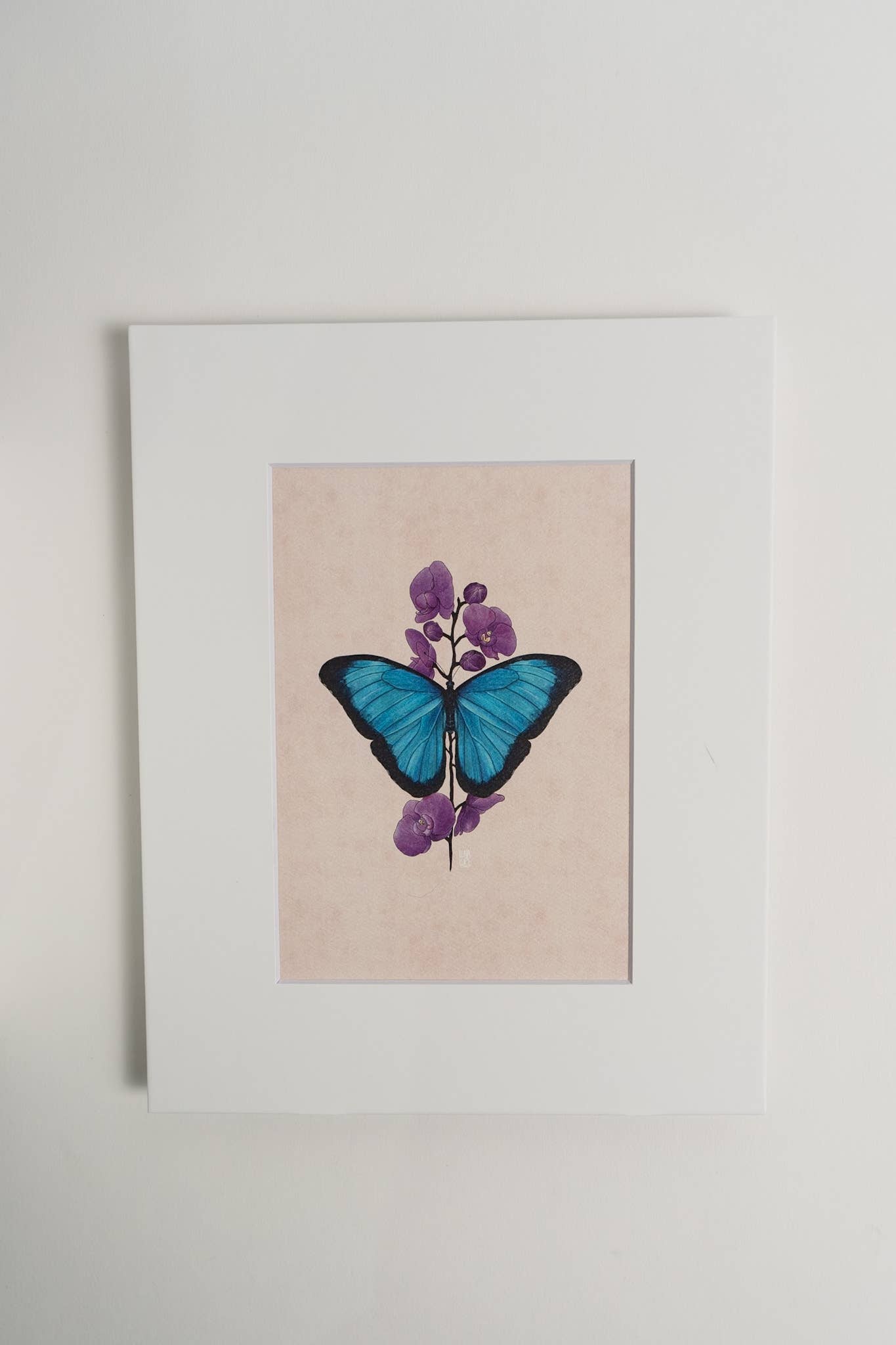 Blue Morpho Butterfly Art Print