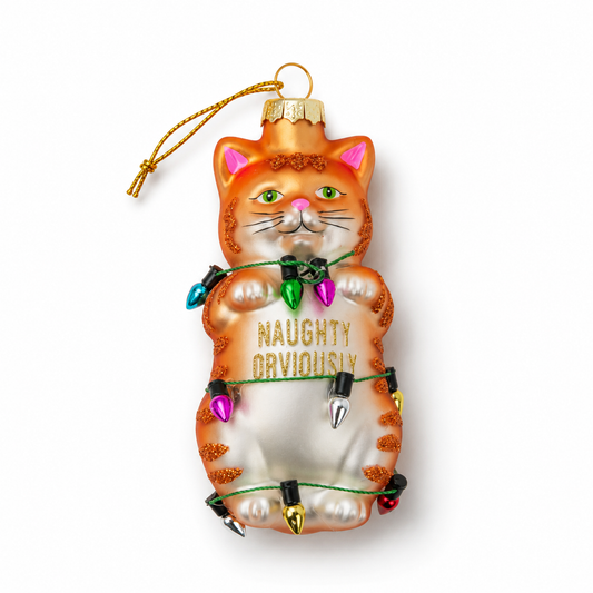 Ornament - Funny Cat Glass