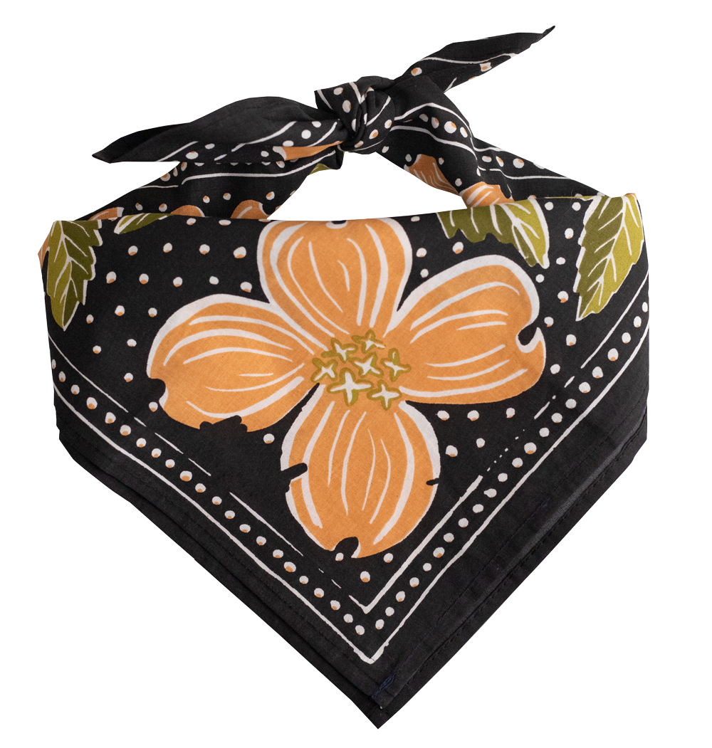 Bandana- Amy
