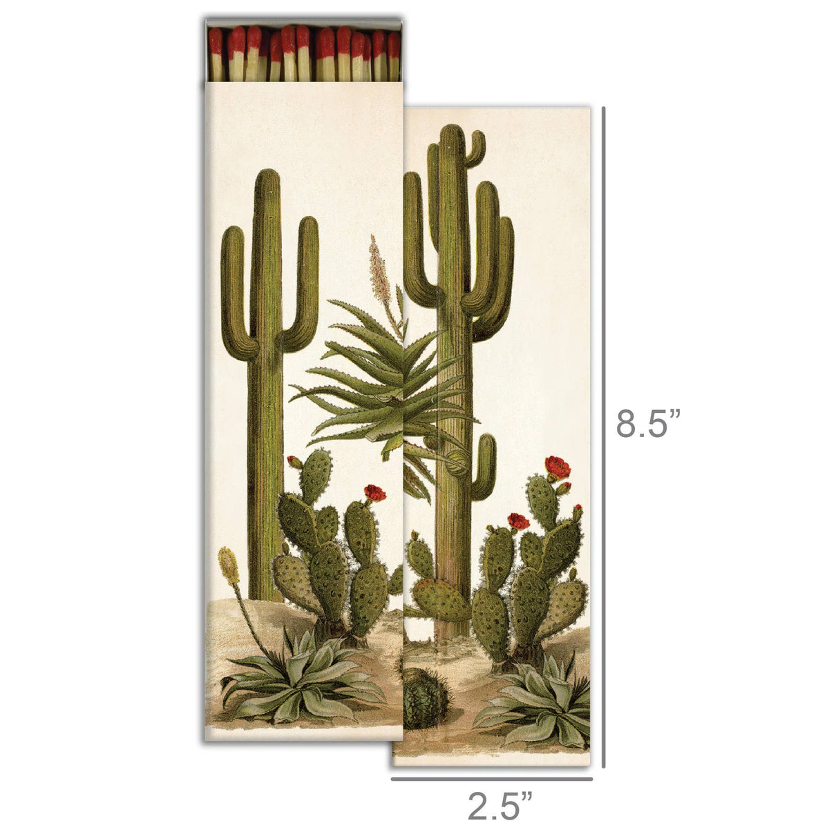 Matches - Tall Cacti