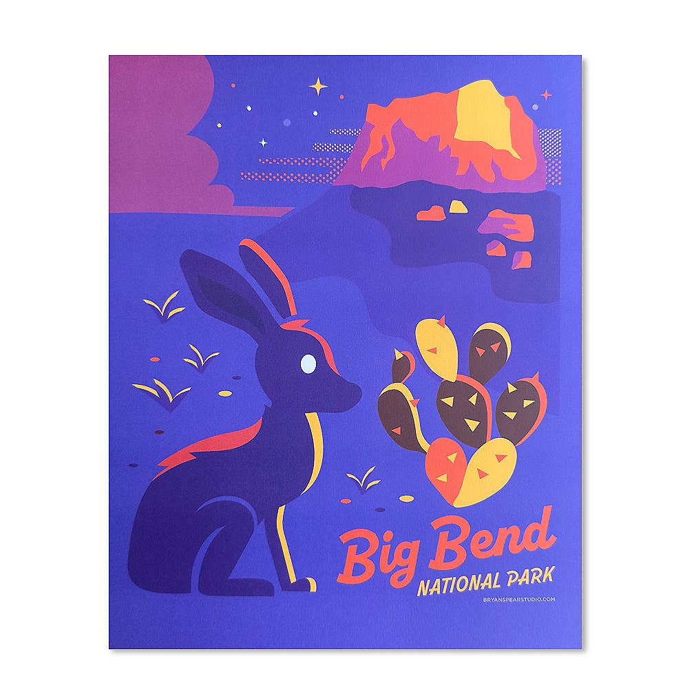 Print - Big Bend Jackrabbit