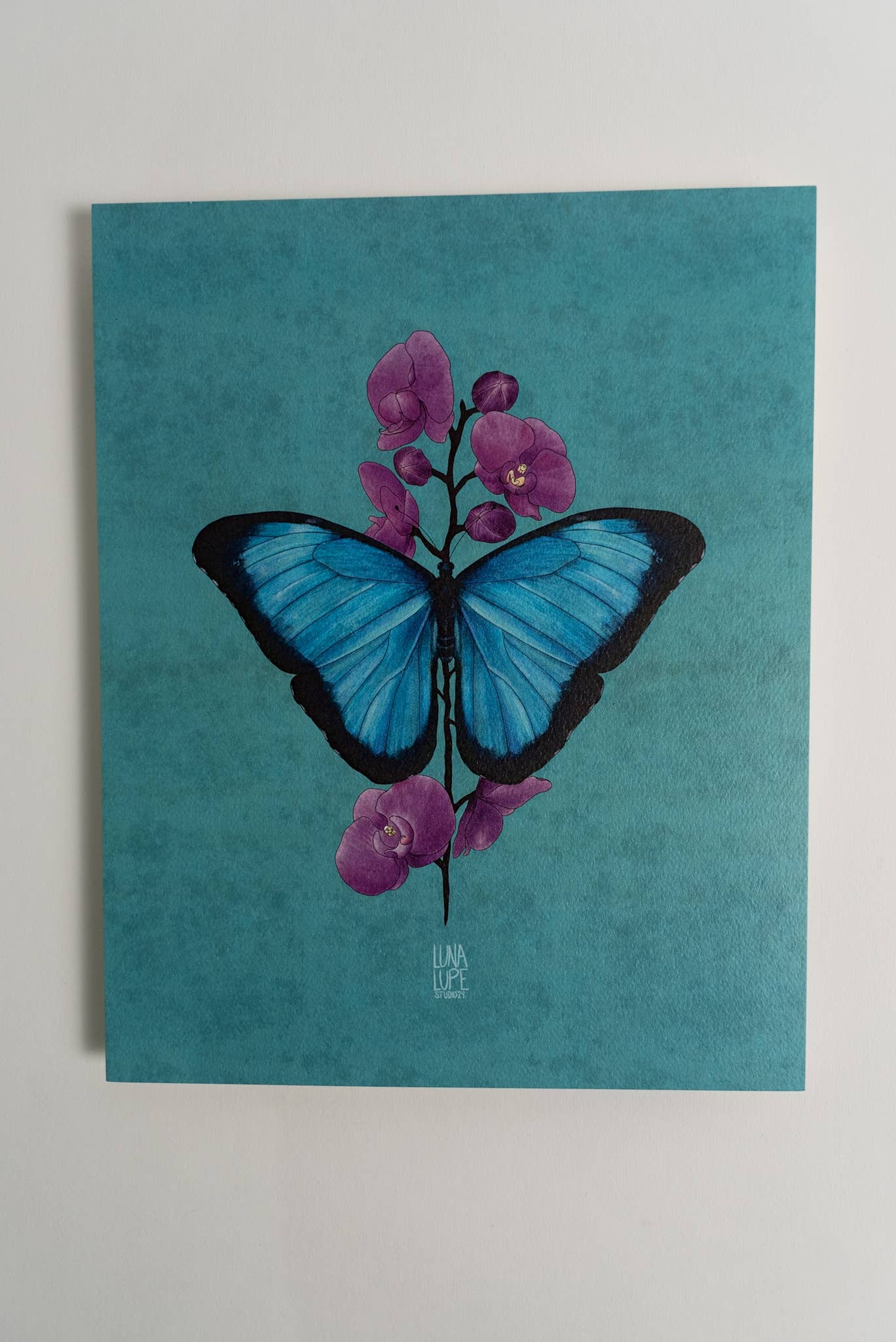 Blue Morpho Butterfly Art Print