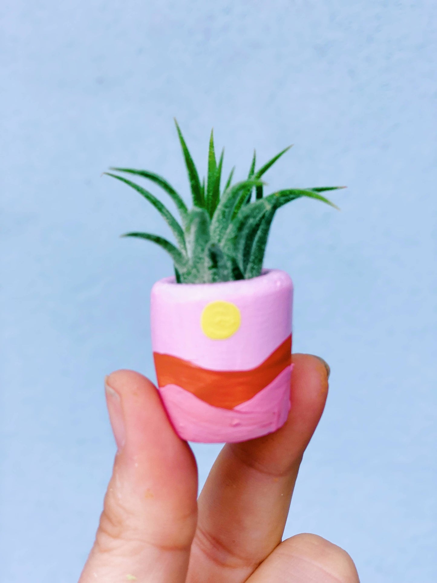 Terrain Baby Planter