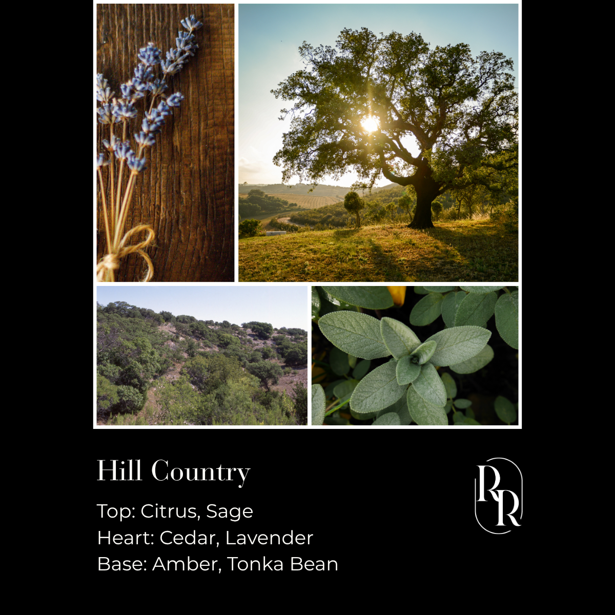 Candle - Hill Country