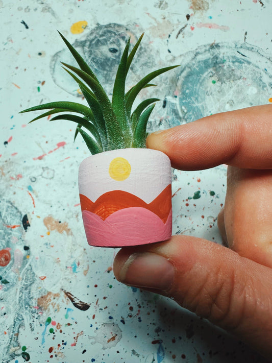 Terrain Baby Planter