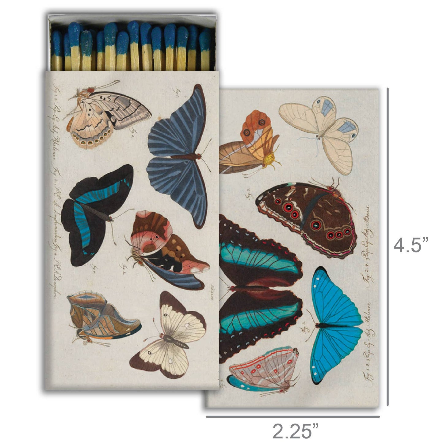Matches - Blue Butterflies