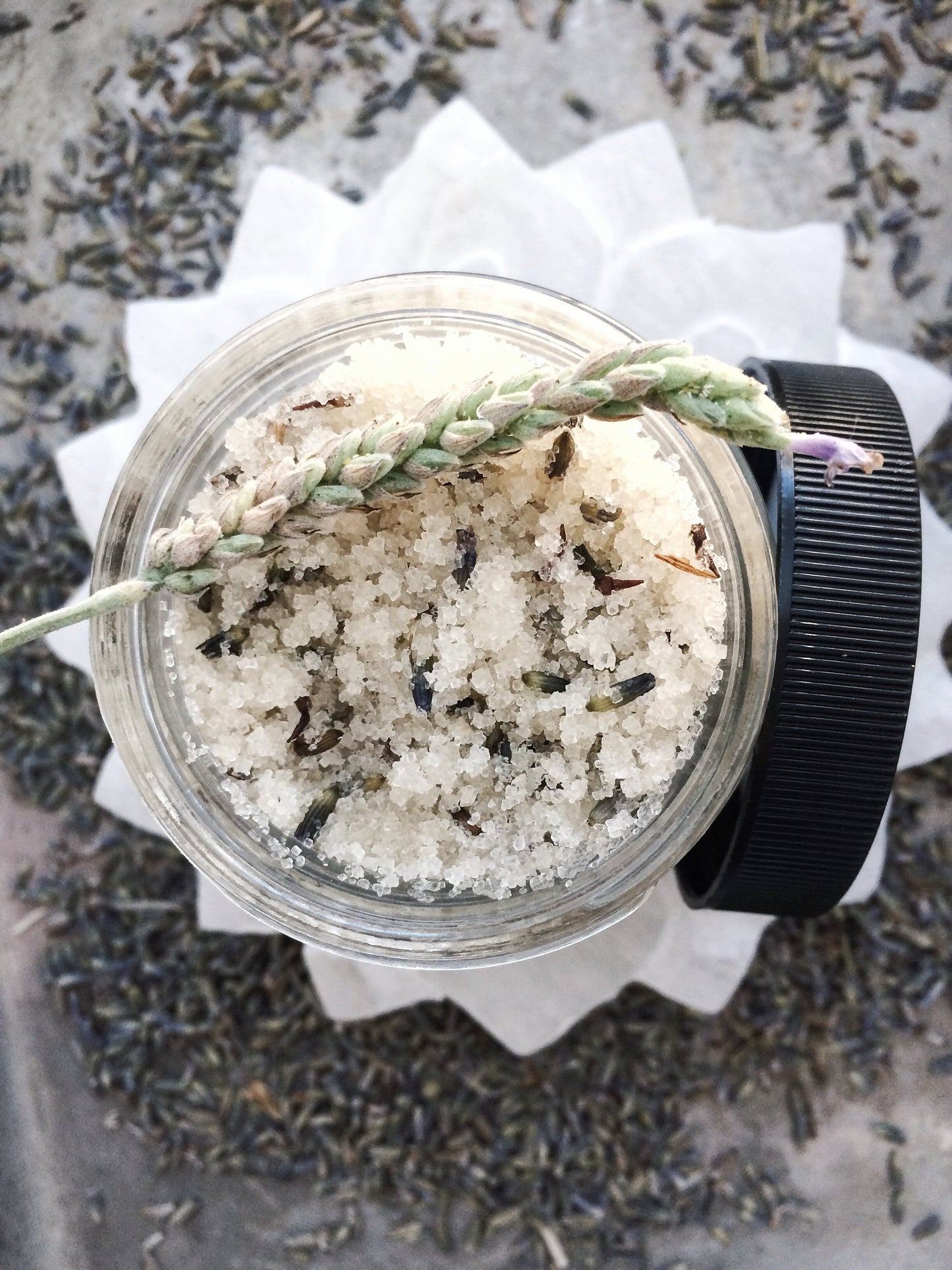Sugar Scrub - Lavender and Coconut
