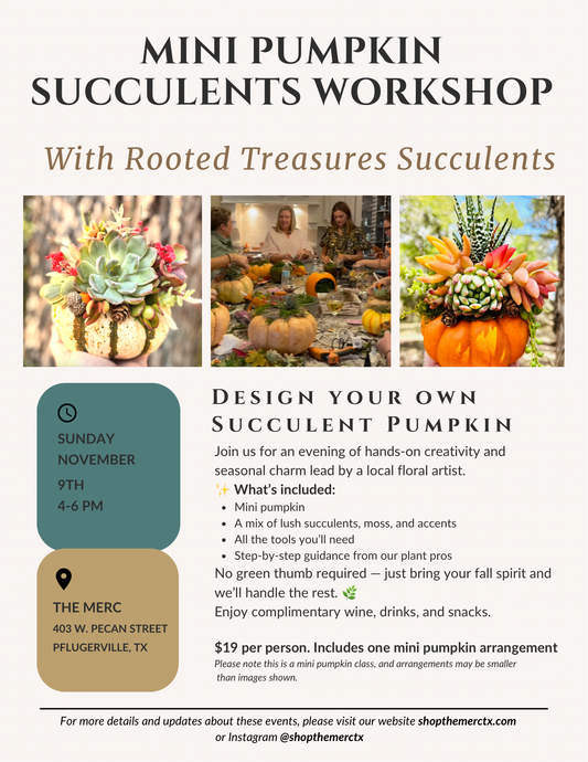 Mini Pumpkin Succulents Workshop