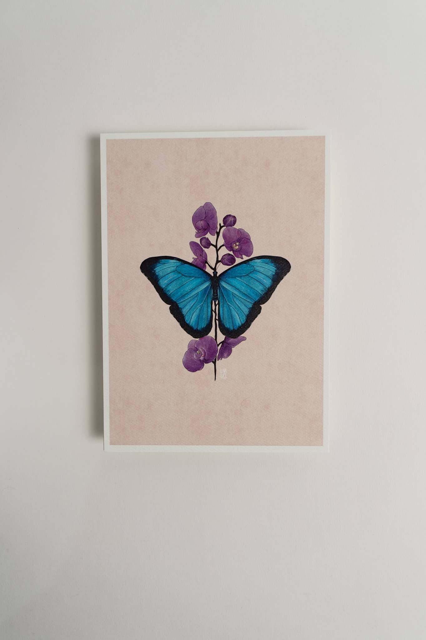 Blue Morpho Butterfly Art Print