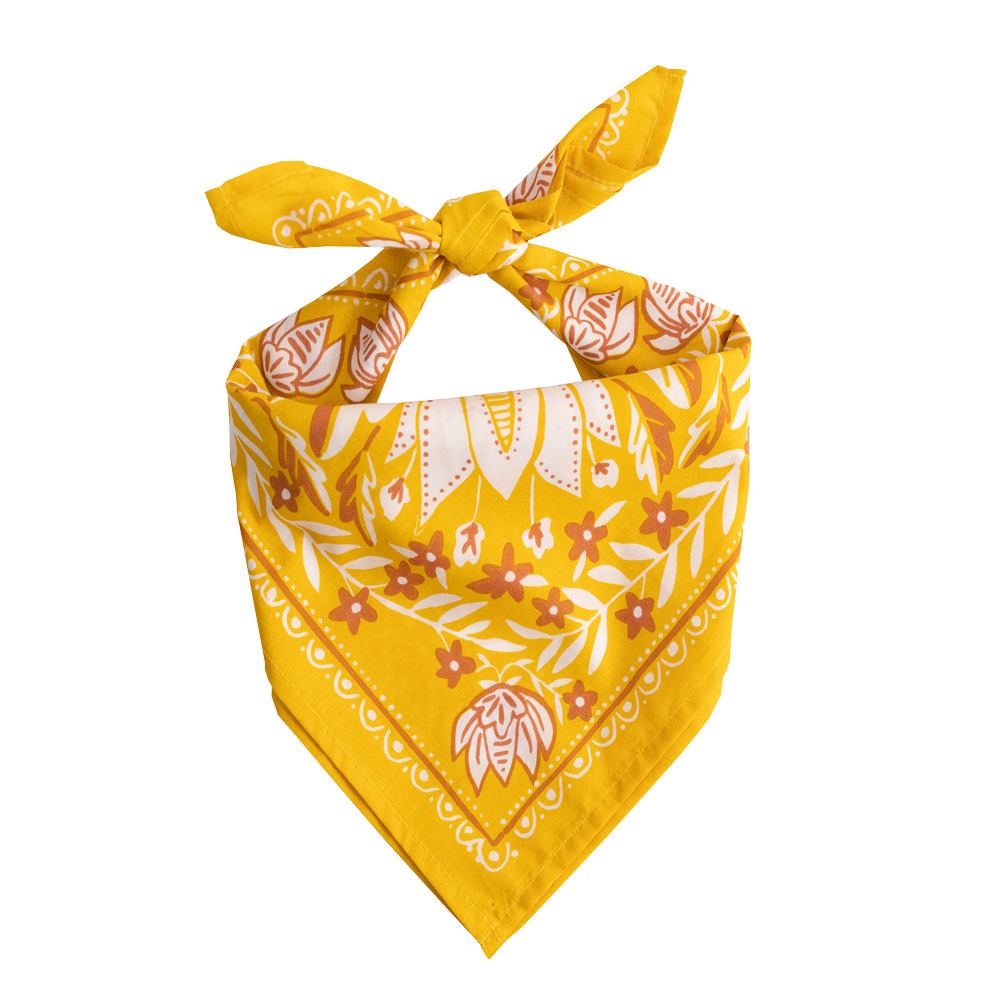Bandana- Antonia