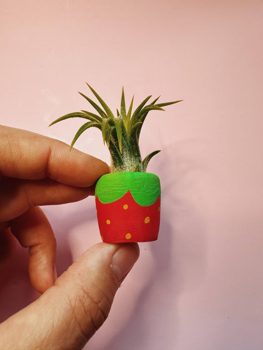Red Strawberry Mini Planter