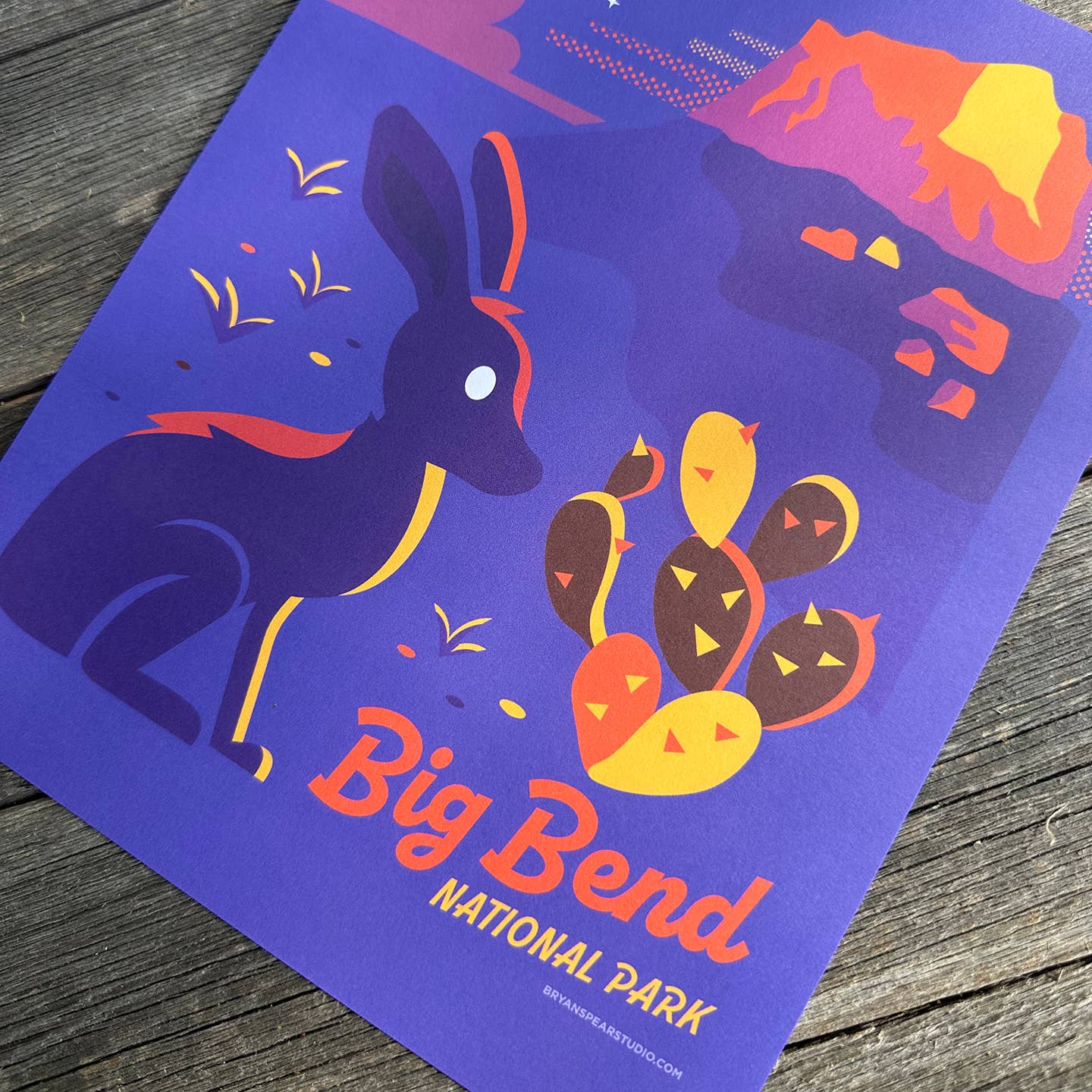 Print - Big Bend Jackrabbit