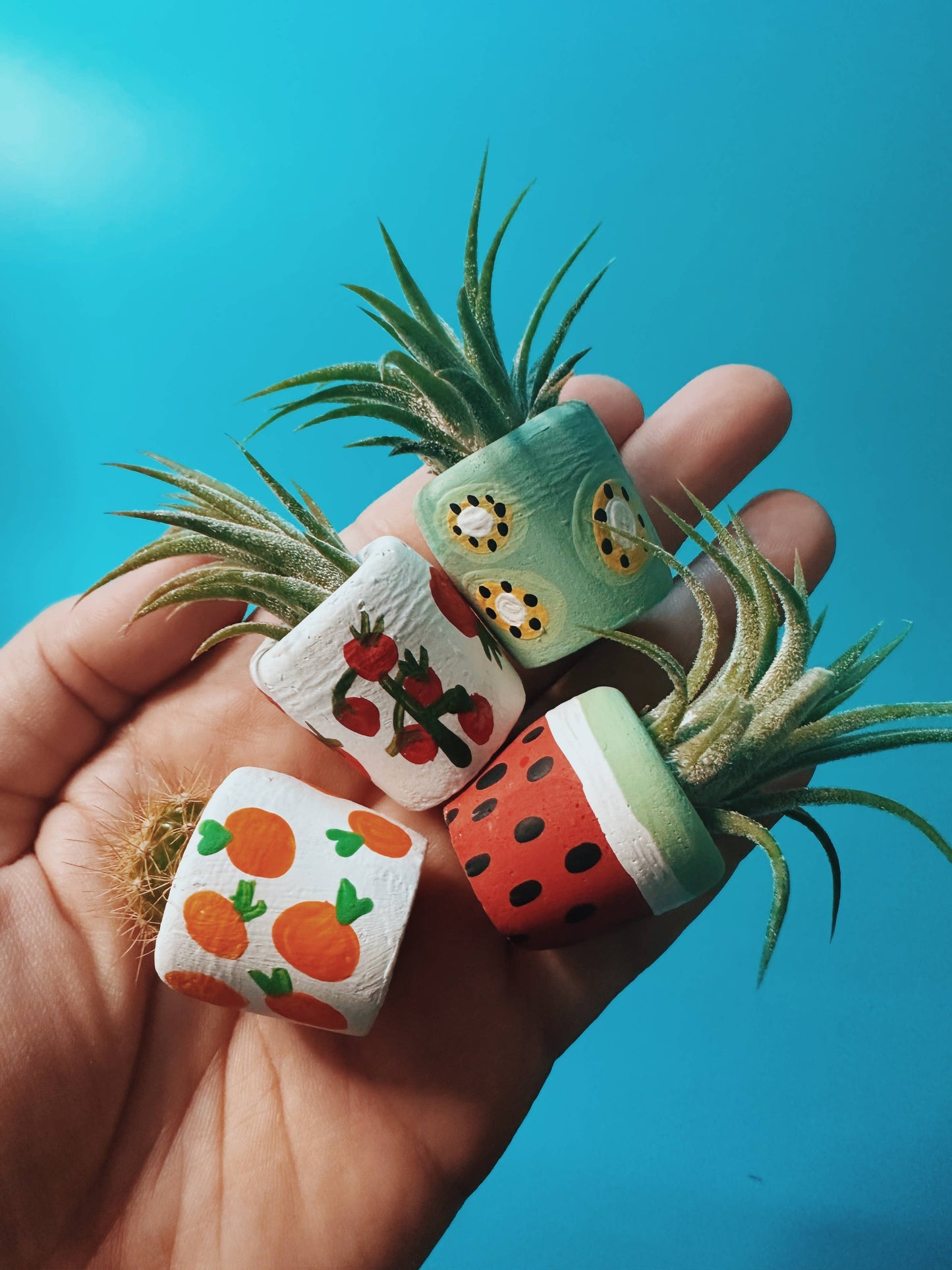 Kiwi Mini Planter with Plant