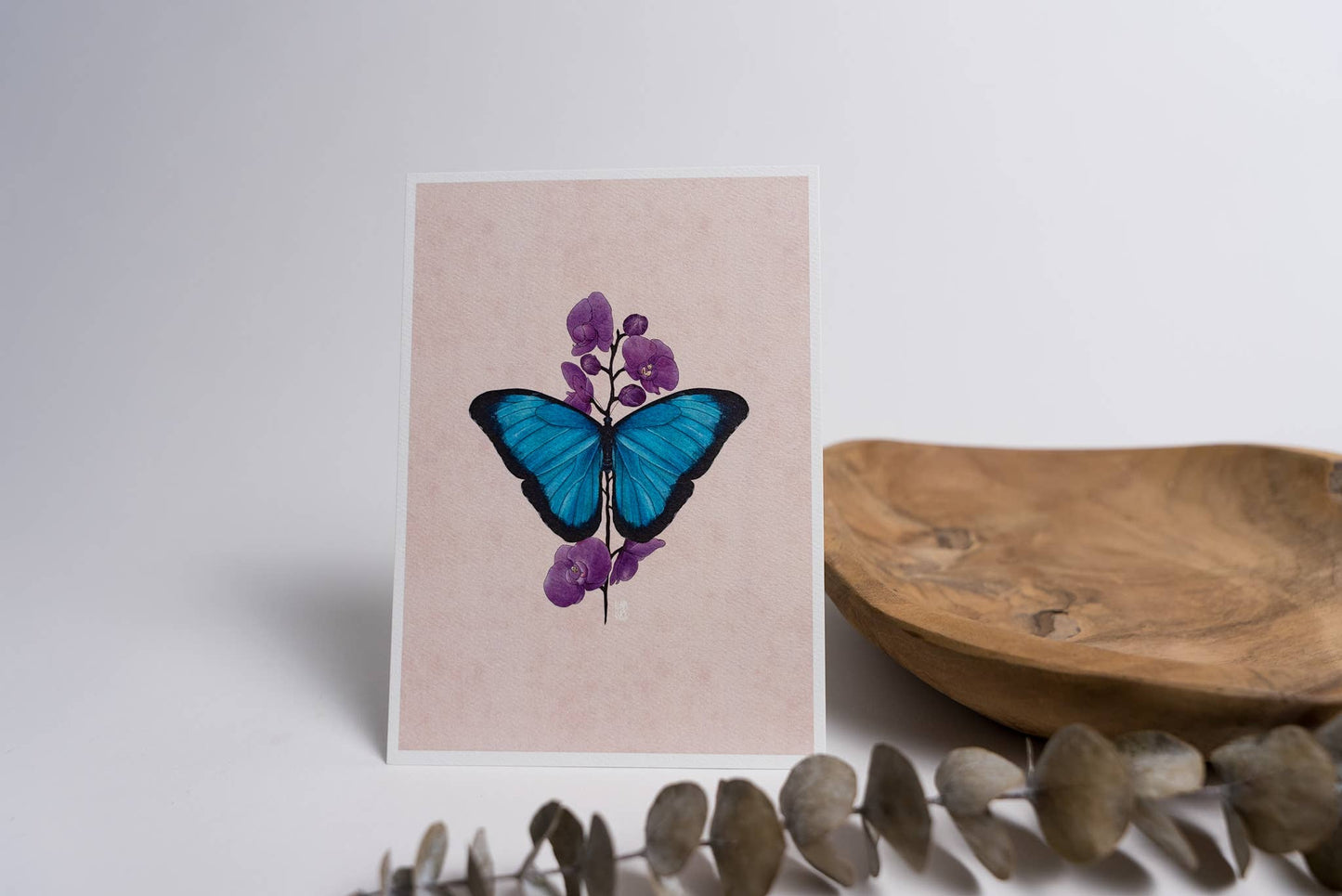 Blue Morpho Butterfly Art Print