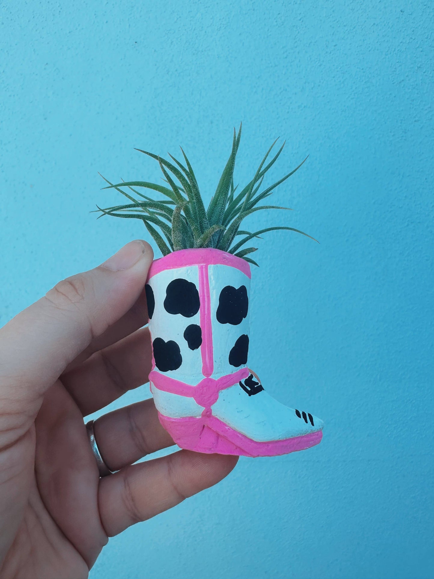Cow Print Mini Western Boot Planter and Air Plant