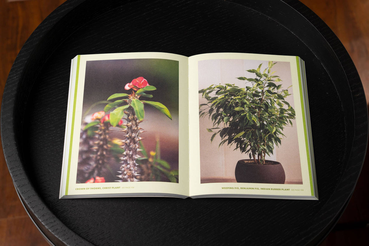 Book - How to Keep Your Plants Alive