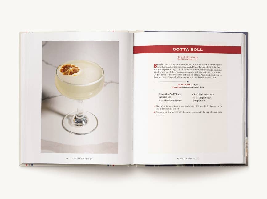 Book - Cocktail America