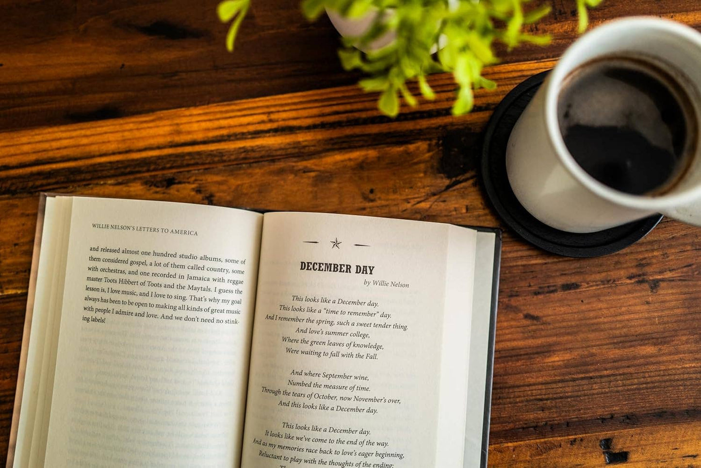 Book - Willie Nelson's Letters To America