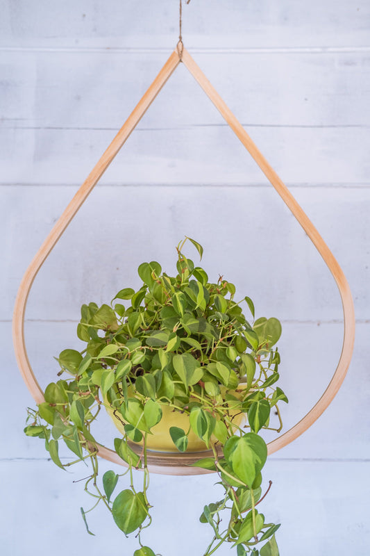 Large Teardrop Hanger