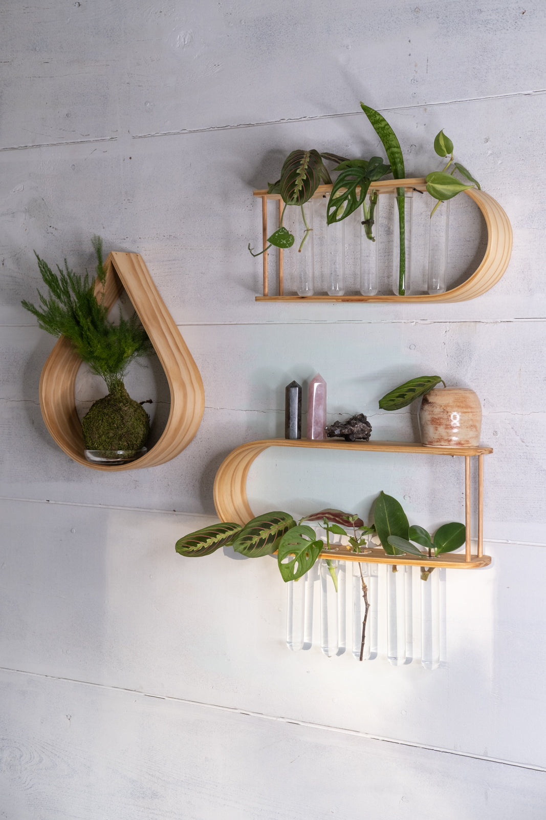 Propagation Station