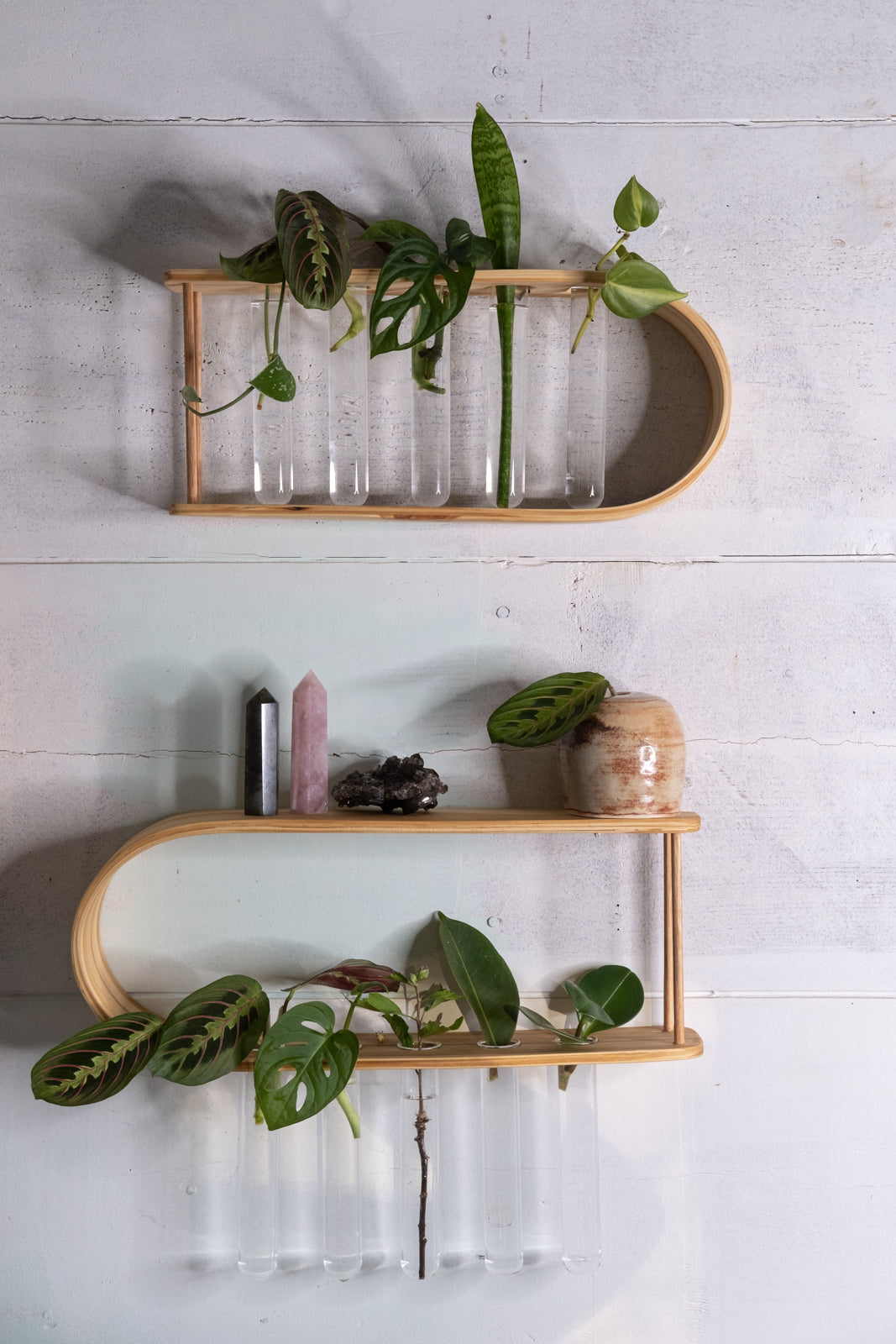 Propagation Station