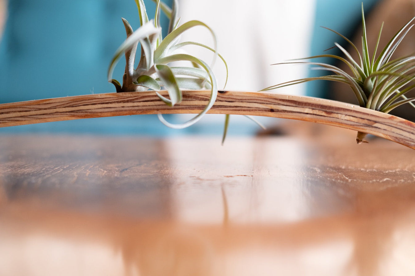 Large Wave Air Planter